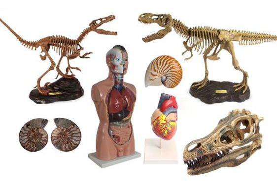 Clicca sulla foto per ingrandire